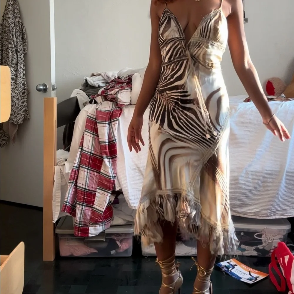 Roberto Cavalli Zebra Dress Sz medium. Message before buying!! - Picture 1 of 5